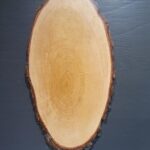 Geweihschild Hirsch, Birke grob