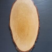 Geweihschild Hirsch, Birke grob