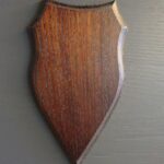 Rehschild