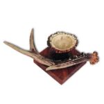 Kerzenhalter mit Rehhorn / Hirschhorn