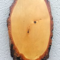 Gamsschild Birke rauh, lang