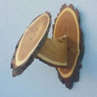 Mufflon-Schild in Akazie