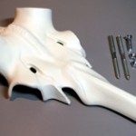 Aluminiumschädel Rothirsch mit Nasenbein