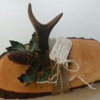 Holzbrett für Speisen klein