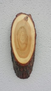 Geweihschild Laerche Gamsschild