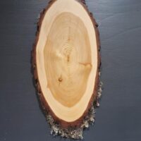 Hirschschild Lärche