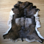 Mufflonfell, Mufflondecke, Mouflonfell