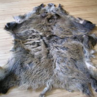 Wildschweinfell, Wildschweindecke