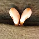 Grandeln für Schmuck