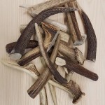 Kau-Geweihstücke für Hunde
