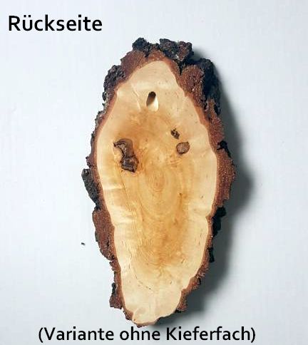 Rückseite ohne kieferfach Reh Birke rauh