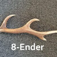Abwrufstange Sikahirsch 8-Ender