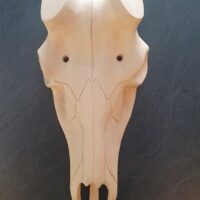 Holz-Schädel Rothirsch gesamtes Haupt