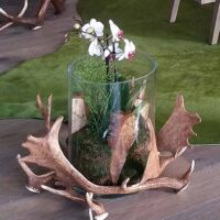 Windlicht mit Glas aus Damschaufeln