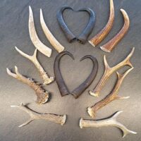 Bastelpackung gemischt (Reh, Gams, Hirsch) 14 Stück