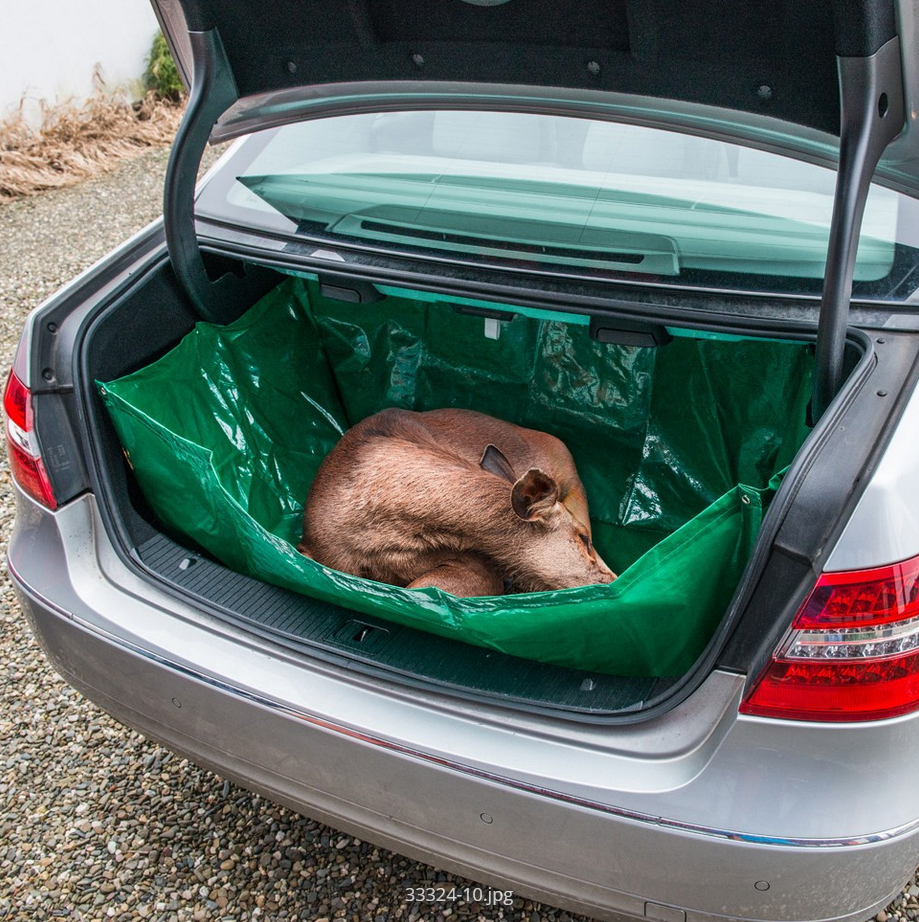 Wildwanne Auto